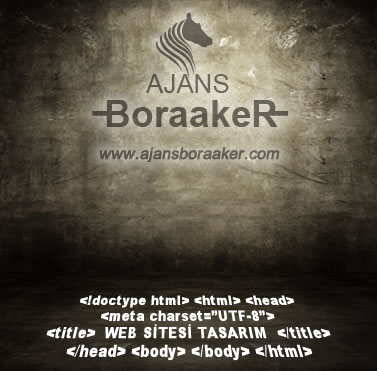 web tasarım web sitesi yapanlar fiyatları