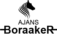 Ajans BoraakeR Ajans Bora Aker Resmi Web Sitesi