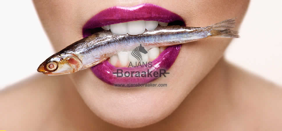 Basın Medya Planlama Projelendirme Ajansları